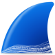 Wireshark