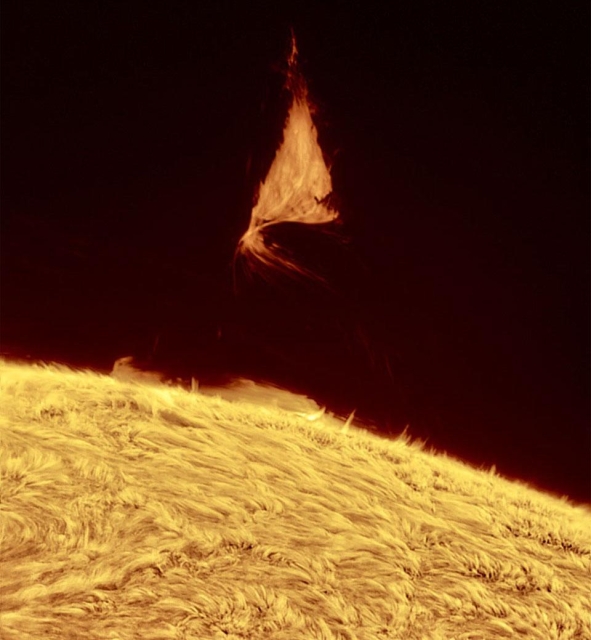 Although the shape is unusual, the type of structure is not: it is part of an evolving solar prominence. Looping magnetic fields on the Sun channel the flow of energetic particles, sometimes holding glowing gaseous structures aloft for months. A prominence glows brightly because it contains particularly hot, dense, or opaque solar plasma. The surprising triangular structure occurred last week. Larger than our Earth, the iconic prominence was imaged by several solar photographers and documented by NASA's Solar Dynamic Observatory to form and violently dissipate in about a day. The featured image was captured in a color of red light emitted strongly by hydrogen. Below, solar fibrils carpet the Sun's chromosphere, while the background sky is so faint in comparison that no stars are visible. Our Sun's surface has been quite active this year. 