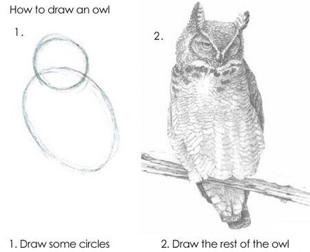 How to draw an owl:
1. Draw some circles
2. Draw the rest of the owl