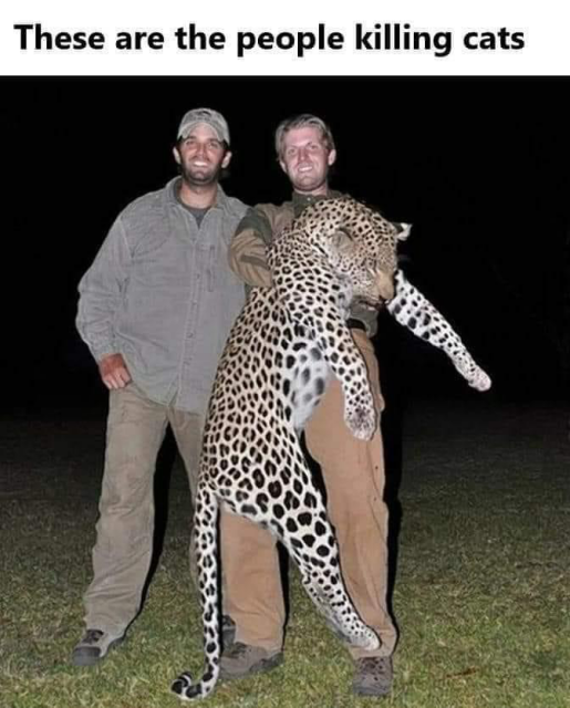 These are the people killing cats (Trump brothers Don Jr and Eric with Jaguar trophy kill)