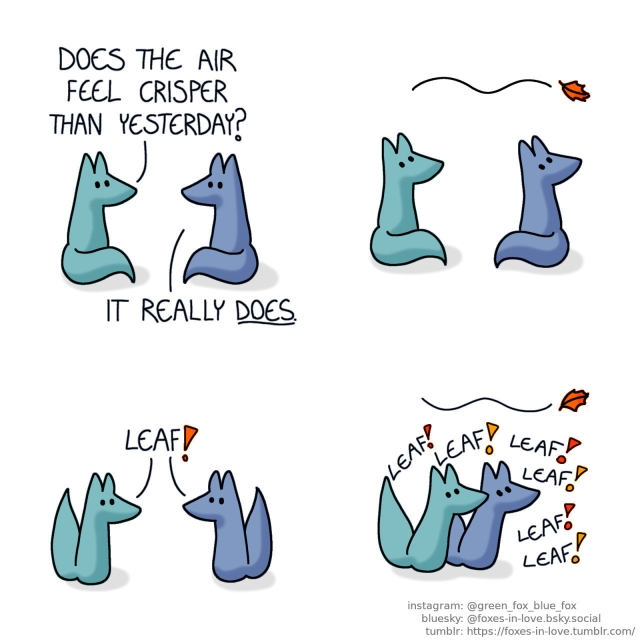 A comic of two foxes, one of whom is blue, the other is green. In this one, Blue and Green are sitting outside, looking at each other. Green: Does the air feel crisper than yesterday? Blue: It really does.  Both of the foxes pause, turning to look at a red autumn leaf floating past them in the wind.  The foxes turn to look at each other, full of excitement. Both foxes, simultaneously: Leaf!  Continuing to chant "leaf! leaf! leaf! leaf!", the foxes start chasing after the floating autumn leaf, full of seasonal glee.