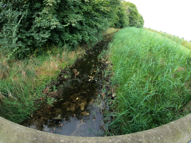 Im Vordergrund ein Brückengeländer über einen kleinen Bach, der rechts und links vom Gras und Bäumen flankiert wird.